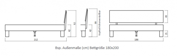 Massivholzbett Buche lackiert 200 x 200 cm Doppelbett Schlafzimmer