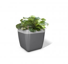 Emsa myBOX Blumenkasten Blumenkübel 35 cm anhrazit/alu