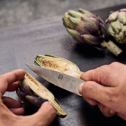 ZWILLING 1731 Spick & Garniermesser 10 cm, Ziricote